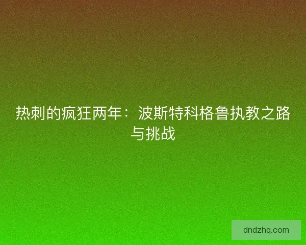 热刺的疯狂两年:波斯特科格鲁执教之路与挑战 热刺的疯狂两年:波斯特科格鲁执教之路与挑战